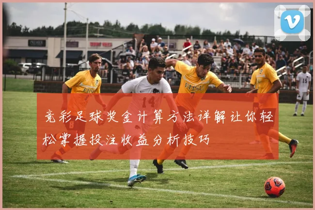 竞彩足球奖金计算方法详解让你轻松掌握投注收益分析技巧