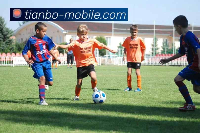 天博体育官方网站服务体系